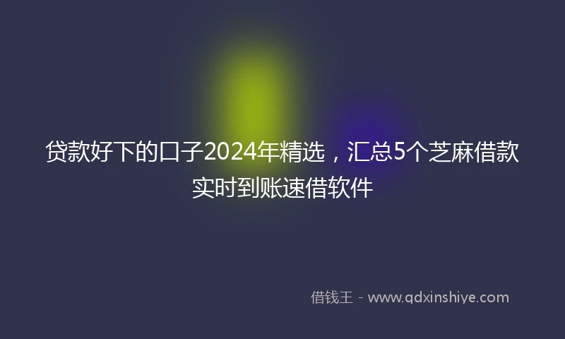贷款好下的口子2024年精选，汇总5个芝麻借款实时到账速借软件