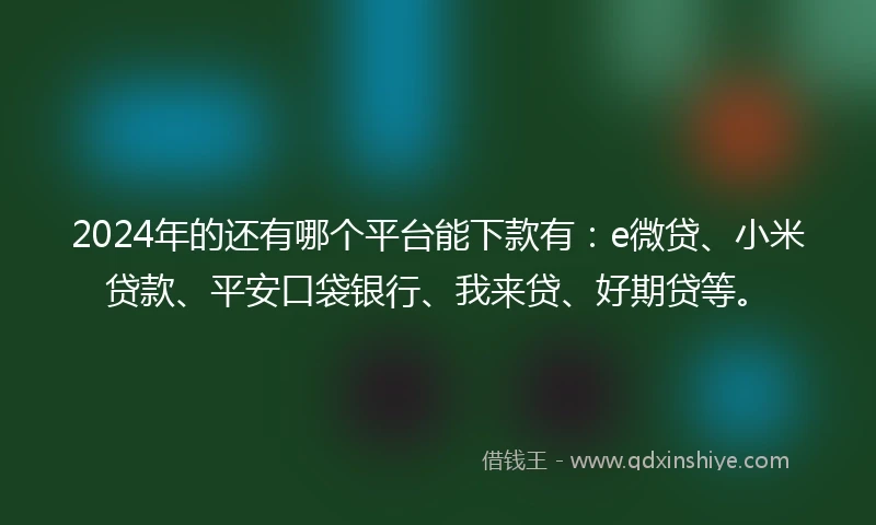 2024年的还有哪个平台能下款有：e微贷、小米贷款、平安口袋银行、我来贷、好期贷等。