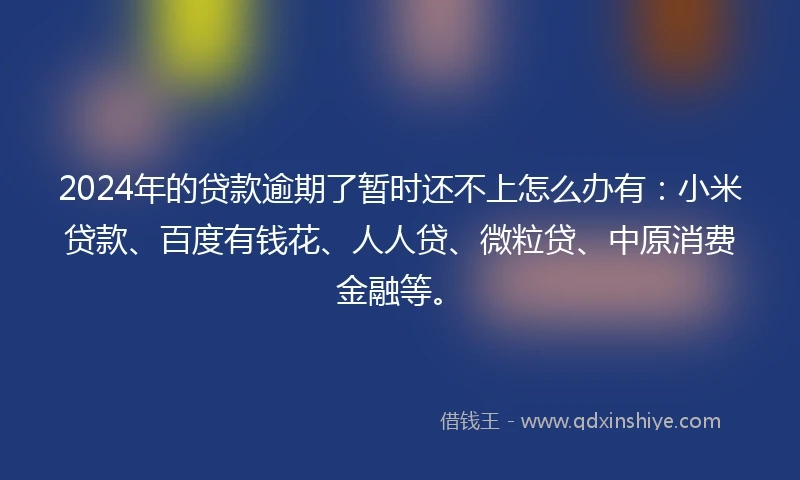 2024年的贷款逾期了暂时还不上怎么办有:小米贷款、百度有钱花、人人贷、微粒贷、中原消费金融等。