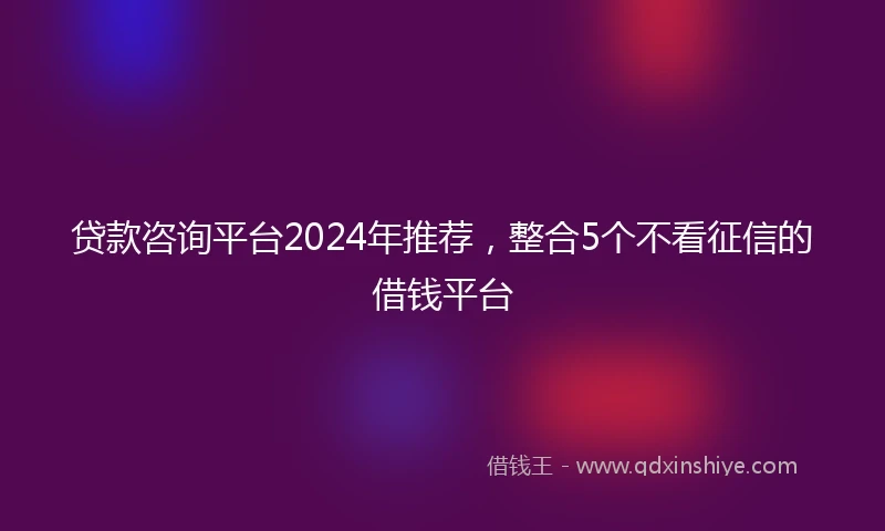 贷款咨询平台2024年推荐，整合5个不看征信的借钱平台
