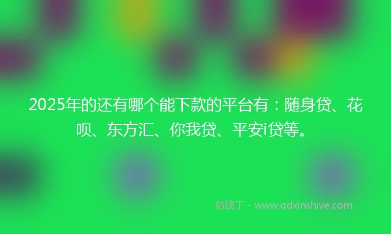 2025年的还有哪个能下款的平台有：随身贷、花呗、东方汇、你我贷、平安i贷等。