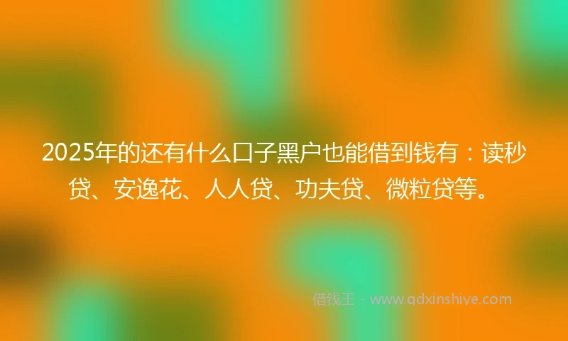 2025年的还有什么口子黑户也能借到钱有：读秒贷、安逸花、人人贷、功夫贷、微粒贷等。