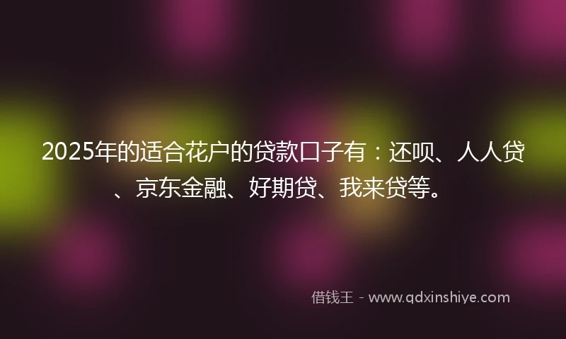 2025年的适合花户的贷款口子有：还呗、人人贷、京东金融、好期贷、我来贷等。