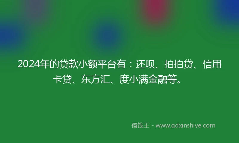 2024年的贷款小额平台有：还呗、拍拍贷、信用卡贷、东方汇、度小满金融等。