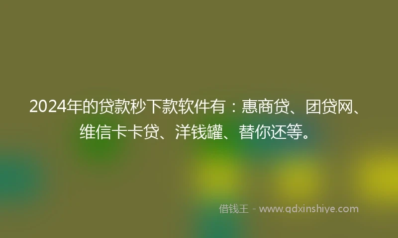 2024年的贷款秒下款软件有：惠商贷、团贷网、维信卡卡贷、洋钱罐、替你还等。
