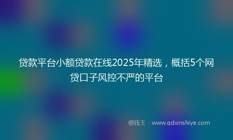 贷款平台小额贷款在线2025年精选，概括5个网贷口子风控不严的平台