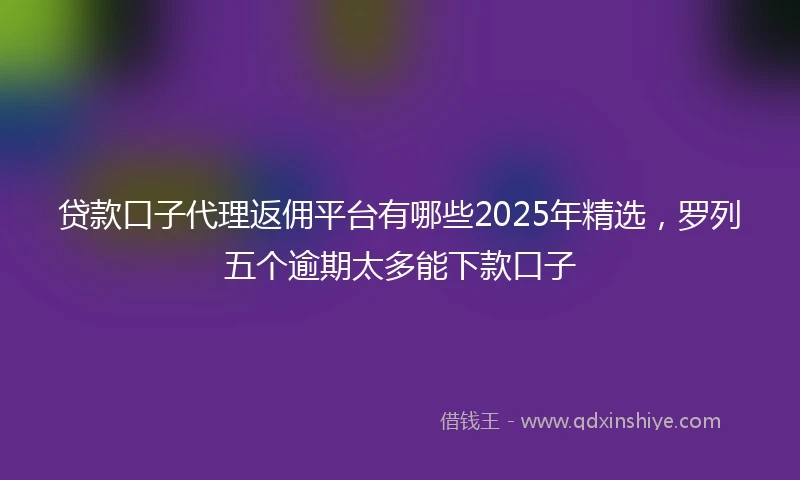 贷款口子代理返佣平台有哪些2025年精选，罗列五个逾期太多能下款口子