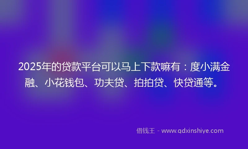 2025年的贷款平台可以马上下款嘛有：度小满金融、小花钱包、功夫贷、拍拍贷、快贷通等。