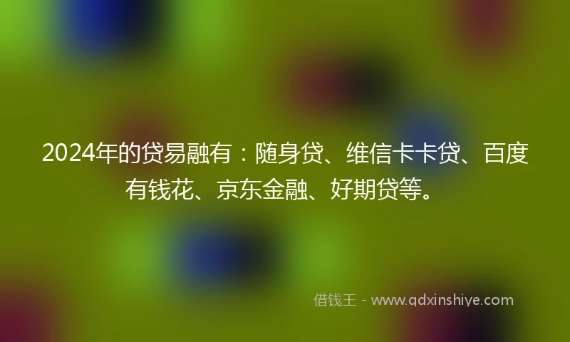 2024年的贷易融有：随身贷、维信卡卡贷、百度有钱花、京东金融、好期贷等。