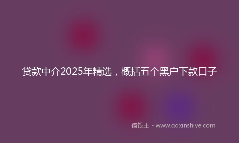 贷款中介2025年精选，概括五个黑户下款口子
