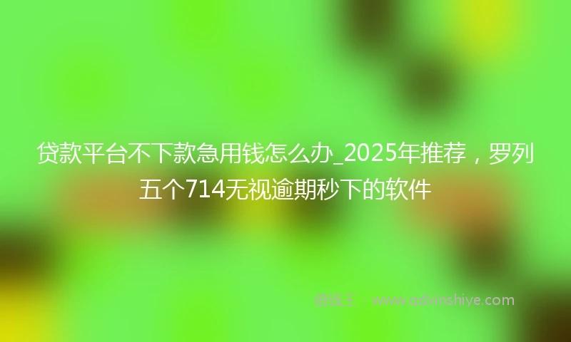 贷款平台不下款急用钱怎么办_2025年推荐，罗列五个714无视逾期秒下的软件