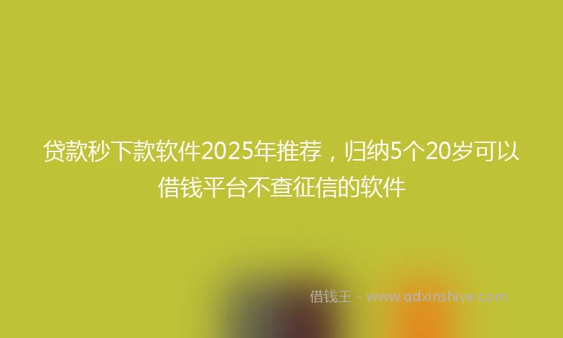 贷款秒下款软件2025年推荐，归纳5个20岁可以借钱平台不查征信的软件