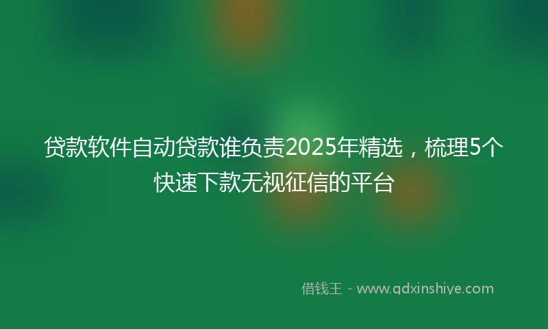 贷款软件自动贷款谁负责2025年精选，梳理5个快速下款无视征信的平台