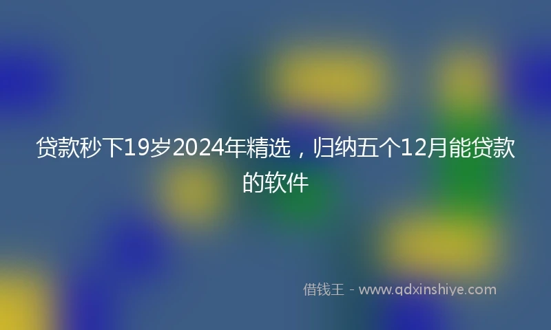 贷款秒下19岁2024年精选，归纳五个12月能贷款的软件