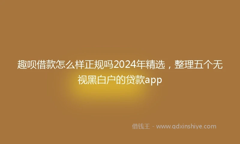 趣呗借款怎么样正规吗2024年精选，整理五个无视黑白户的贷款app