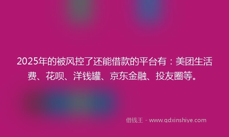 2025年的被风控了还能借款的平台有：美团生活费、花呗、洋钱罐、京东金融、投友圈等。