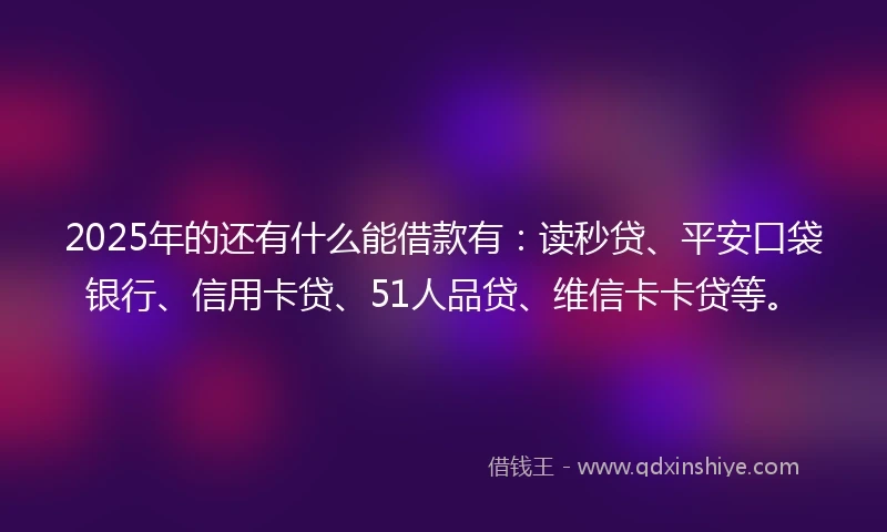 2025年的还有什么能借款有：读秒贷、平安口袋银行、信用卡贷、51人品贷、维信卡卡贷等。