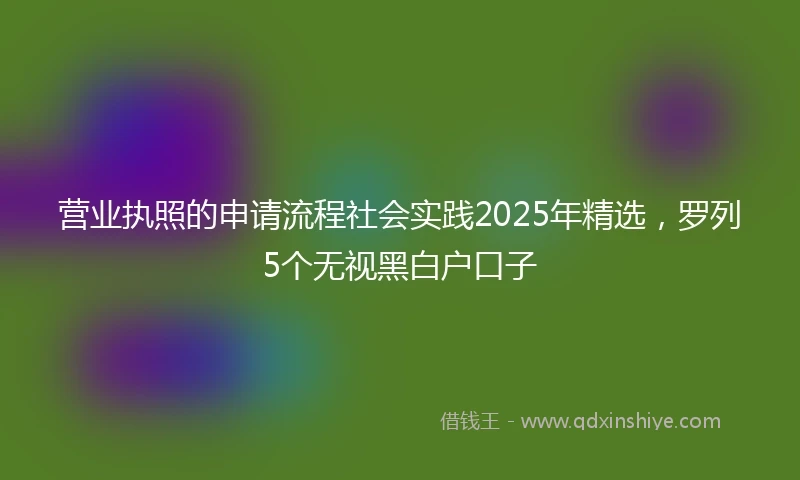 营业执照的申请流程社会实践2025年精选，罗列5个无视黑白户口子