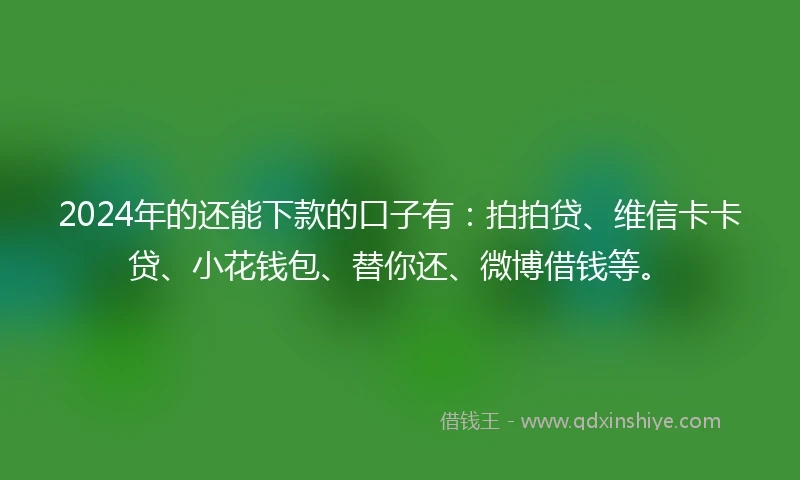 2024年的还能下款的口子有：拍拍贷、维信卡卡贷、小花钱包、替你还、微博借钱等。