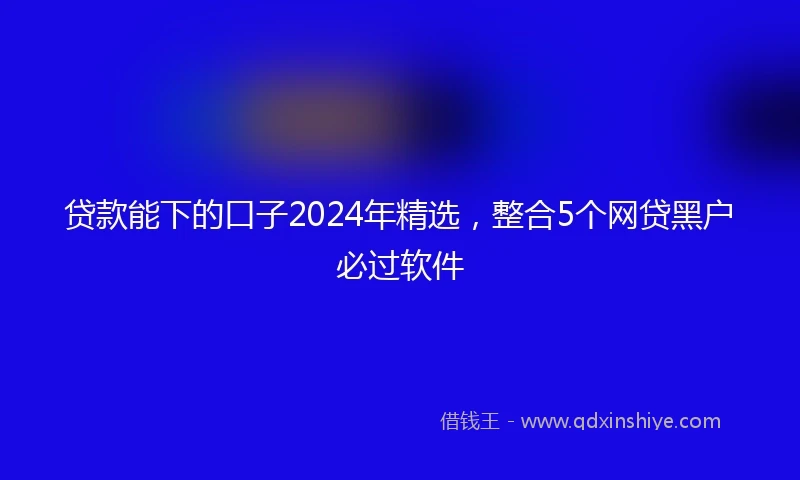 贷款能下的口子2024年精选，整合5个网贷黑户必过软件