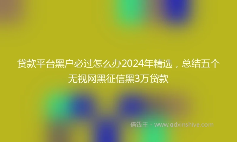 贷款平台黑户必过怎么办2024年精选，总结五个无视网黑征信黑3万贷款