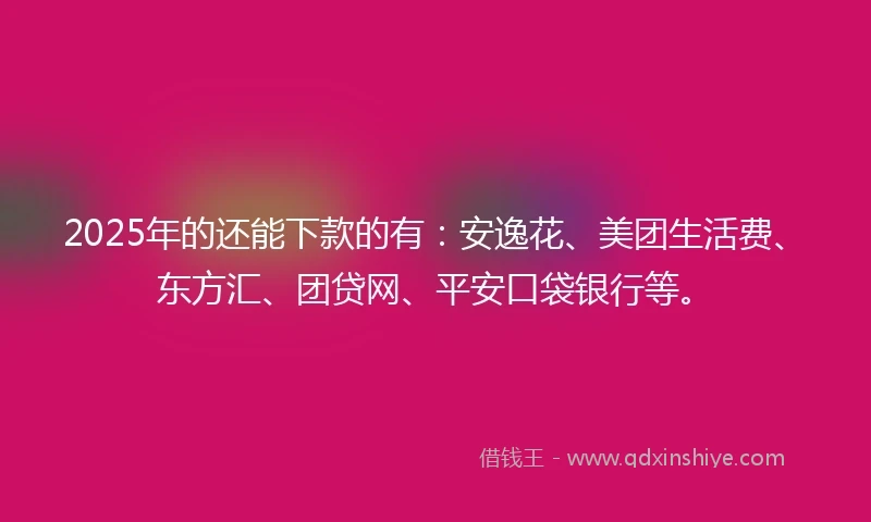 2025年的还能下款的有：安逸花、美团生活费、东方汇、团贷网、平安口袋银行等。