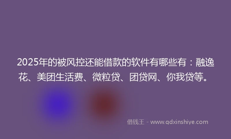 2025年的被风控还能借款的软件有哪些有：融逸花、美团生活费、微粒贷、团贷网、你我贷等。