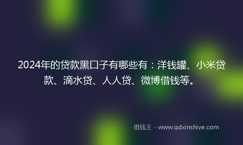 2024年的贷款黑口子有哪些有：洋钱罐、小米贷款、滴水贷、人人贷、微博借钱等。