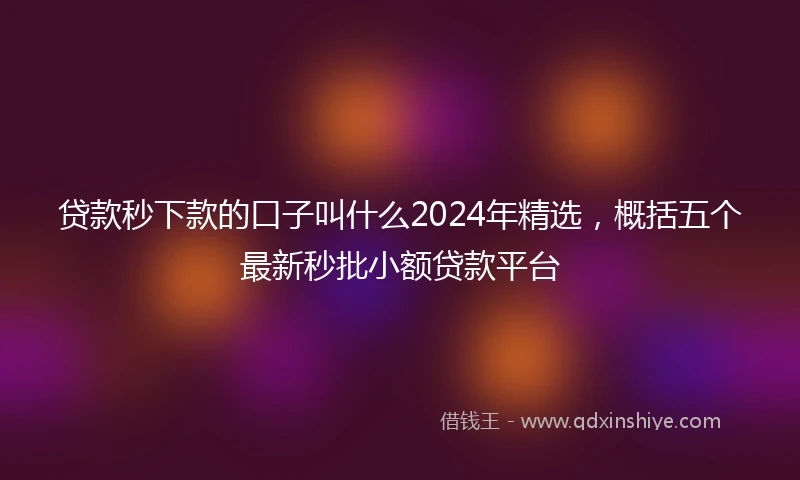 贷款秒下款的口子叫什么2024年精选，概括五个最新秒批小额贷款平台