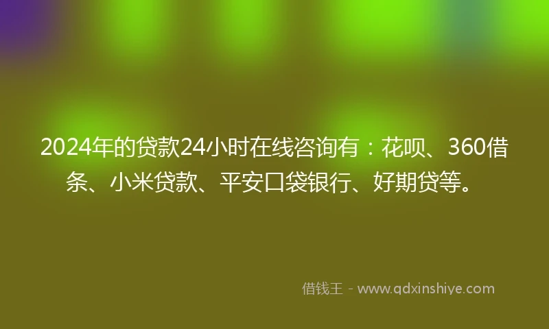 2024年的贷款24小时在线咨询有：花呗、360借条、小米贷款、平安口袋银行、好期贷等。