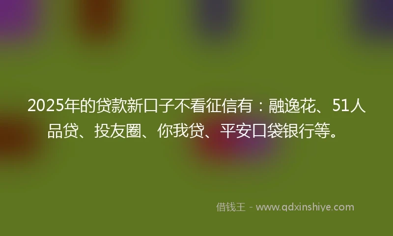 2025年的贷款新口子不看征信有：融逸花、51人品贷、投友圈、你我贷、平安口袋银行等。