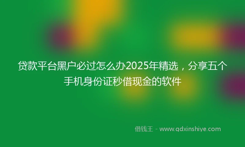 贷款平台黑户必过怎么办2025年精选，分享五个手机身份证秒借现金的软件