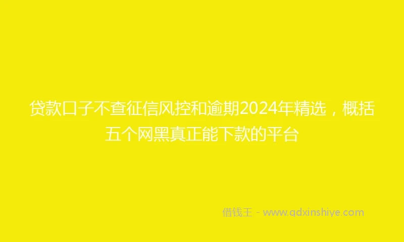 贷款口子不查征信风控和逾期2024年精选，概括五个网黑真正能下款的平台