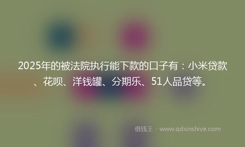 2025年的被法院执行能下款的口子有：小米贷款、花呗、洋钱罐、分期乐、51人品贷等。