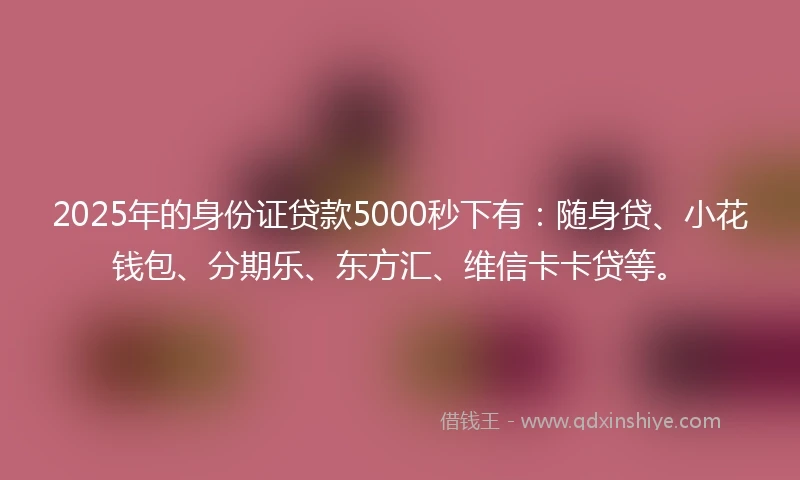 2025年的身份证贷款5000秒下有：随身贷、小花钱包、分期乐、东方汇、维信卡卡贷等。