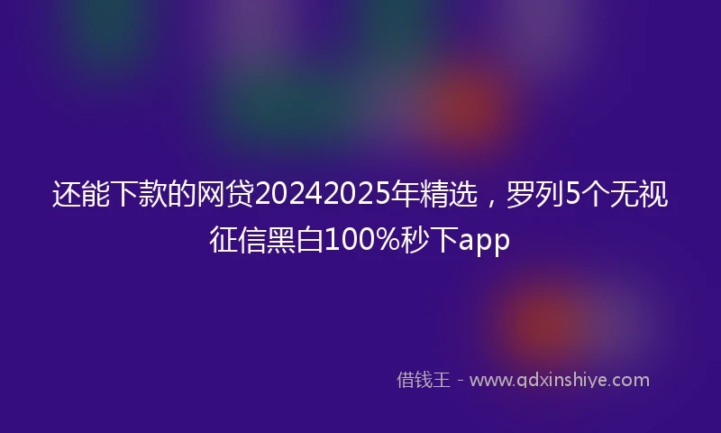 还能下款的网贷20242025年精选，罗列5个无视征信黑白100%秒下app