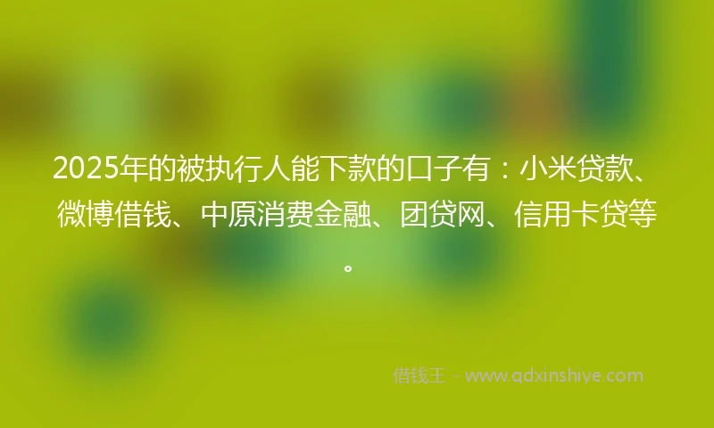 2025年的被执行人能下款的口子有：小米贷款、微博借钱、中原消费金融、团贷网、信用卡贷等。