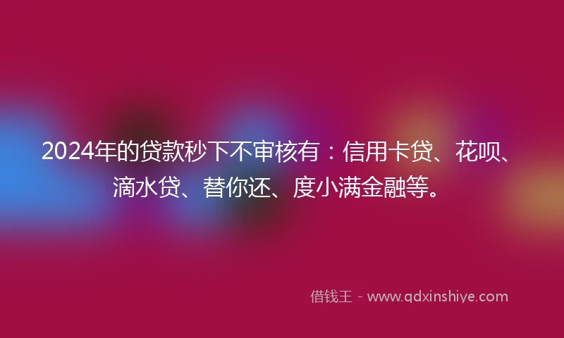 2024年的贷款秒下不审核有：信用卡贷、花呗、滴水贷、替你还、度小满金融等。