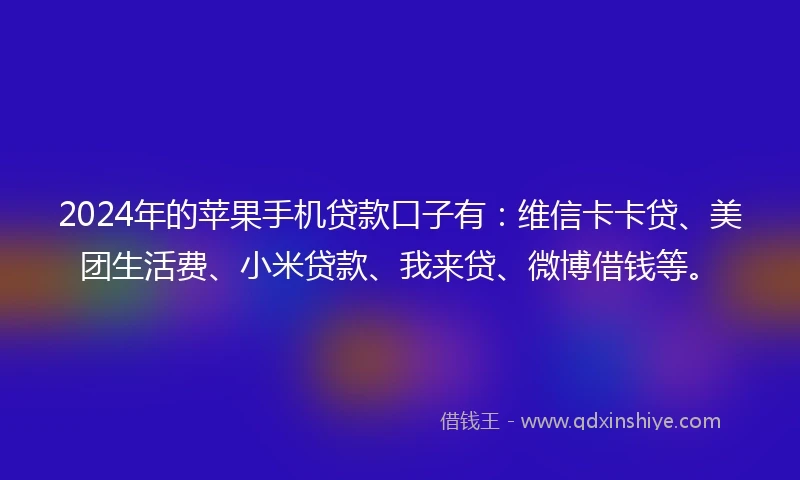 2024年的苹果手机贷款口子有：维信卡卡贷、美团生活费、小米贷款、我来贷、微博借钱等。