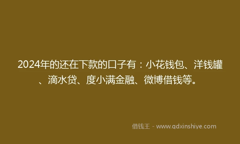 2024年的还在下款的口子有：小花钱包、洋钱罐、滴水贷、度小满金融、微博借钱等。