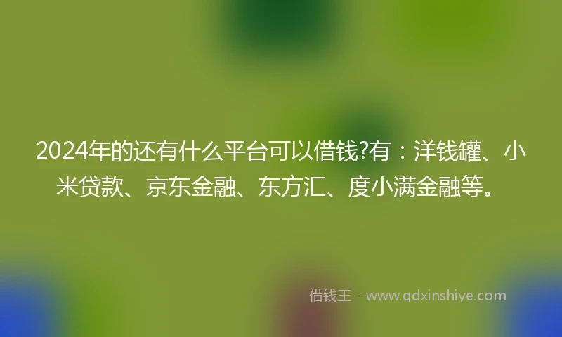 2024年的还有什么平台可以借钱?有：洋钱罐、小米贷款、京东金融、东方汇、度小满金融等。