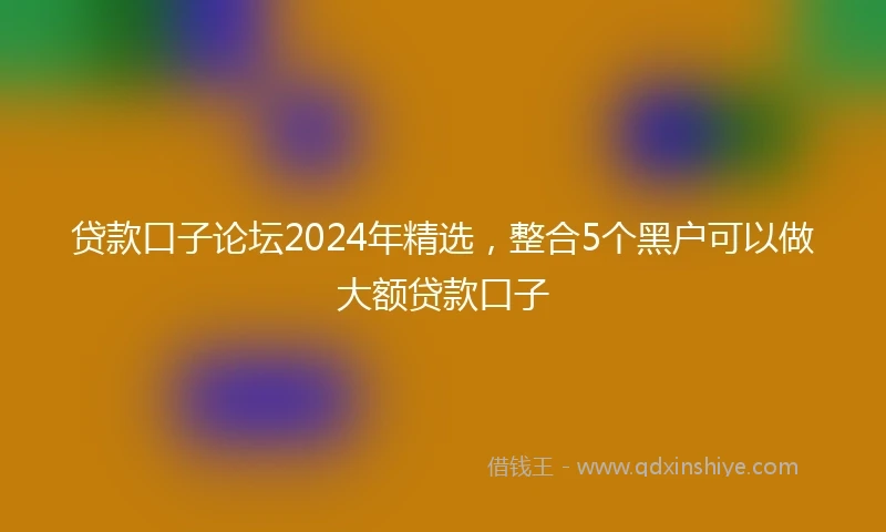 贷款口子论坛2024年精选，整合5个黑户可以做大额贷款口子