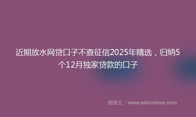 近期放水网贷口子不查征信2025年精选，归纳5个12月独家贷款的口子