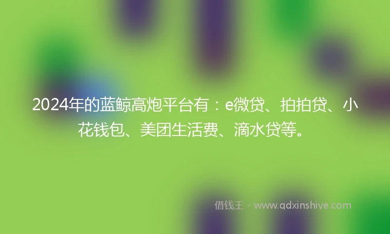 2024年的蓝鲸高炮平台有：e微贷、拍拍贷、小花钱包、美团生活费、滴水贷等。