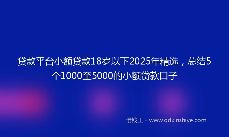 贷款平台小额贷款18岁以下2025年精选，总结5个1000至5000的小额贷款口子