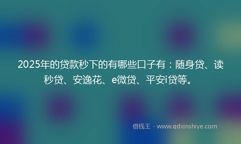 2025年的贷款秒下的有哪些口子有：随身贷、读秒贷、安逸花、e微贷、平安i贷等。