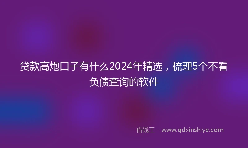 贷款高炮口子有什么2024年精选,梳理5个不看负债查询的软件
