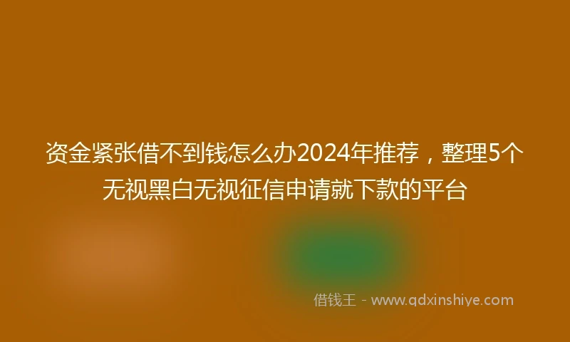 资金紧张借不到钱怎么办2024年推荐，整理5个无视黑白无视征信申请就下款的平台