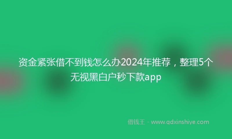资金紧张借不到钱怎么办2024年推荐，整理5个无视黑白户秒下款app