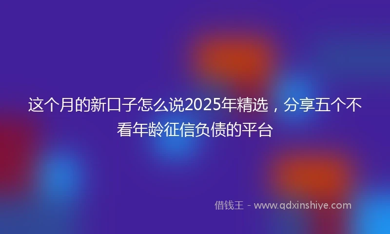 这个月的新口子怎么说2025年精选，分享五个不看年龄征信负债的平台